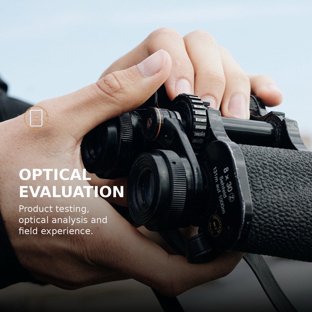 Optical evaluation